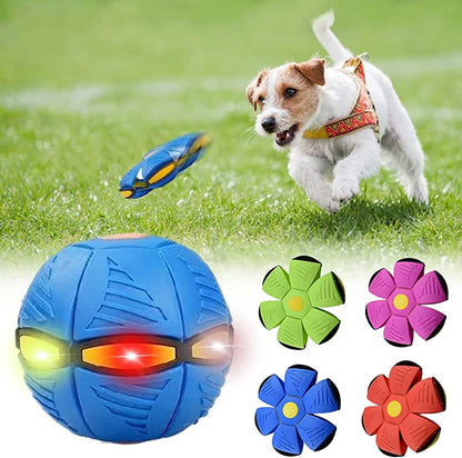 Hollow Dog Co™ Dog Frisbee