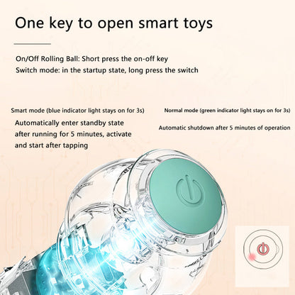 Hollow Dog Co™ Interactive Ball
