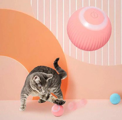 Hollow Dog Co™ Interactive Ball