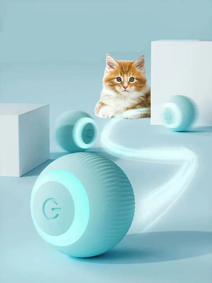 Hollow Dog Co™ Interactive Ball