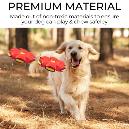 Hollow Dog Co™ Dog Frisbee