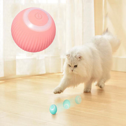Hollow Dog Co™ Interactive Ball