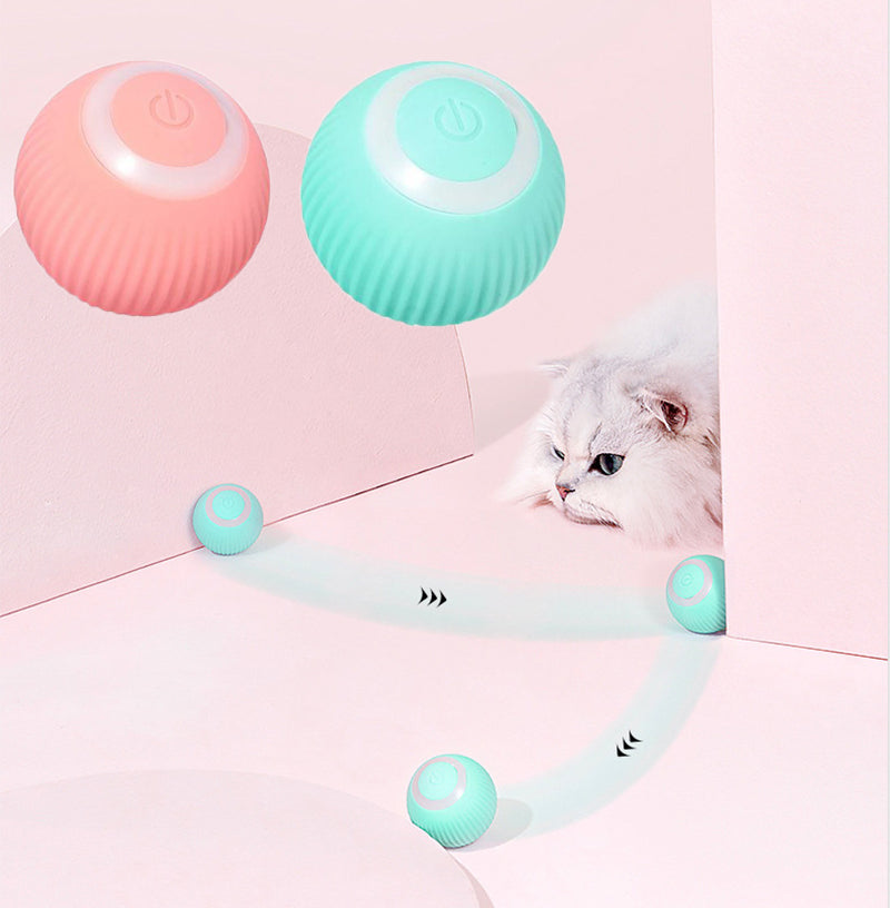 Hollow Dog Co™ Interactive Ball